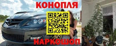 сатива Камень-на-Оби