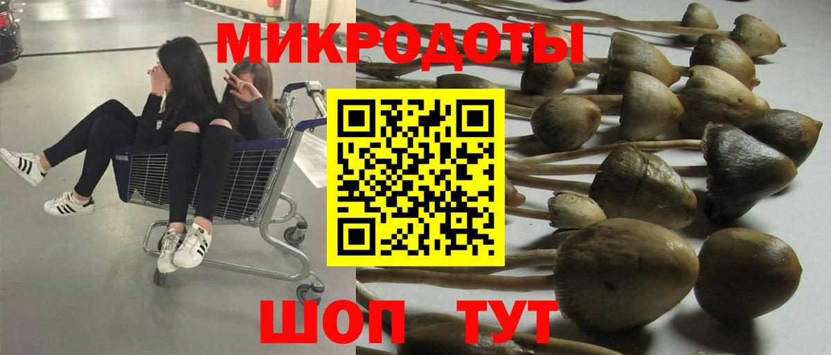 Гулькевичи  Псилоцибиновые грибы Magic Shrooms  Вход с VPN 